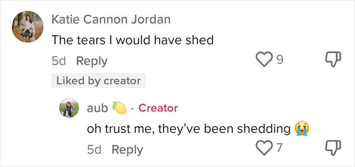 TikTok comments about a contractor leaving a home in a bad state, showing shared frustration and support for the homeowner.