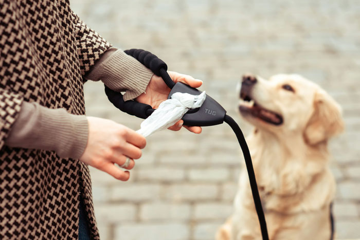 Person using a dog p**p bag dispenser while holding a dog leash