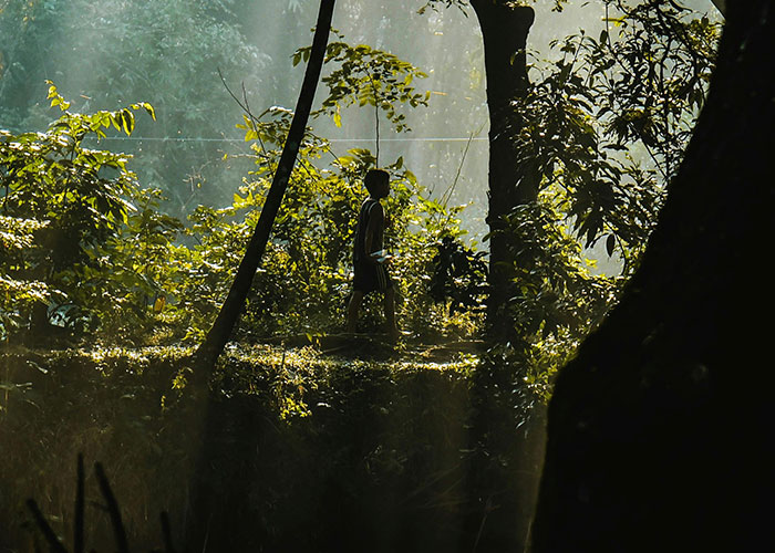 Child walking through dense forest evoking mystery of people vanishing into thin air