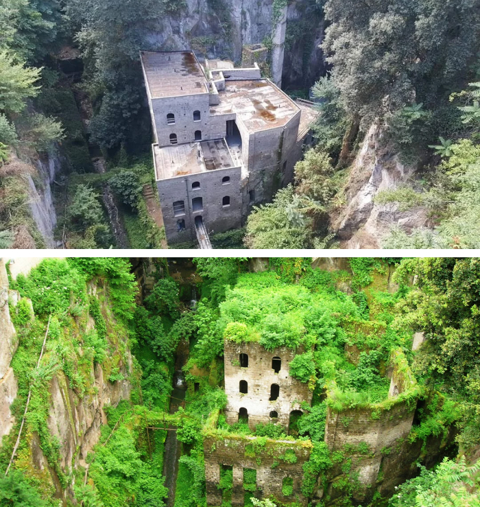 Abandoned building overtaken by moss and vegetation in nature