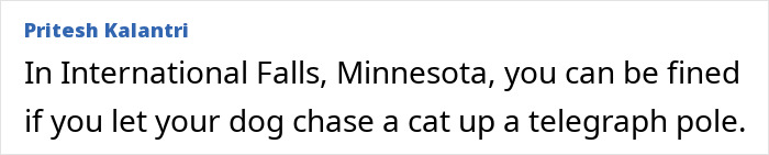 Minnesota law fines for letting dogs chase cats up telegraph poles