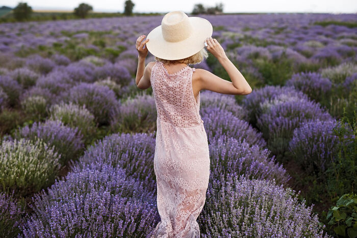 Woman in a straw hat and pink dress from behind, standing in a vast lavender field. Tourists abroad.