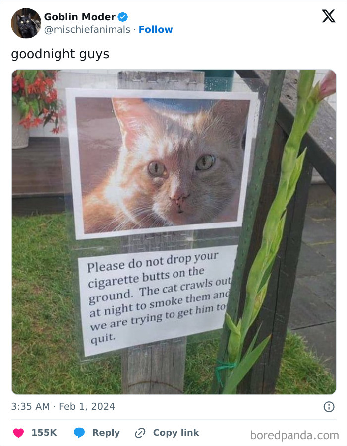 Neighborhood sign warns against dropping cigarettes because cat smokes them