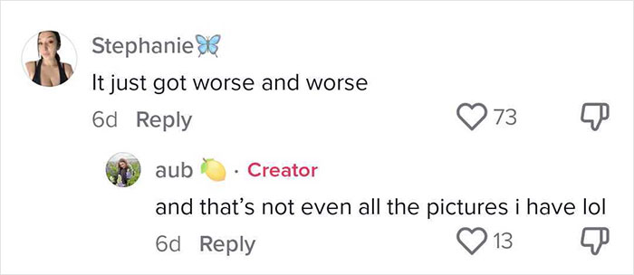 A social media post with comments: Stephanie butterfly icon: "It just got worse and worse." Aub lemon icon Creator: "and that's not even all the pictures I have lol." This screenshot discusses expensive contractor work.
