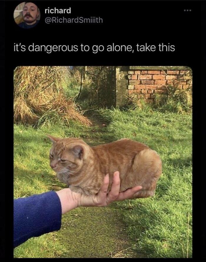 Wholesome-Memes-Memeuplift