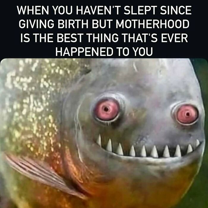 Motherhood meme about sleep deprivation after giving birth