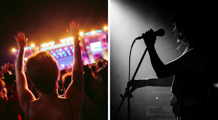 Split image: a crowd with raised hands at a concert and a silhouetted singer holding a microphone, for music taste.