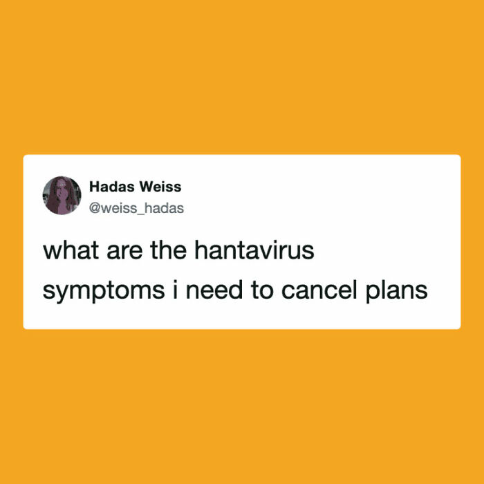 Hantavirus-Memes-Tweets-Reactions