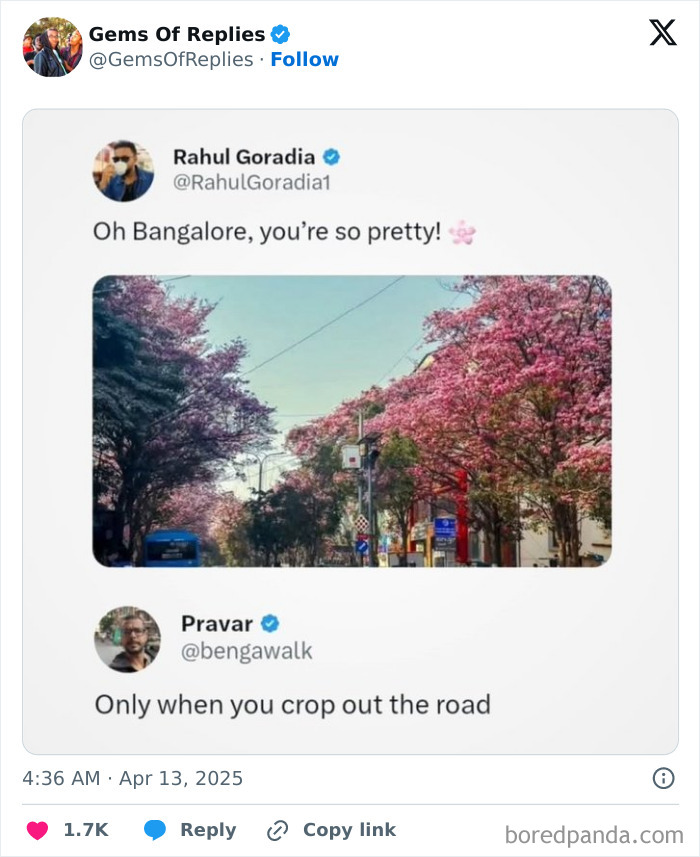 A social media post with a photo of a beautiful tree-lined street and a hilarious comeback in the reply.