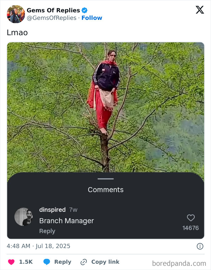 A woman in red traditional attire and a black jacket stands precariously on a tree branch, illustrating a funny comeback moment.