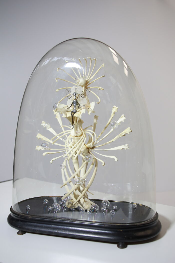 Here Are 18 Surreal Bug Fairies Made From Dead Insects Made By This Amsterdam-Based Artist