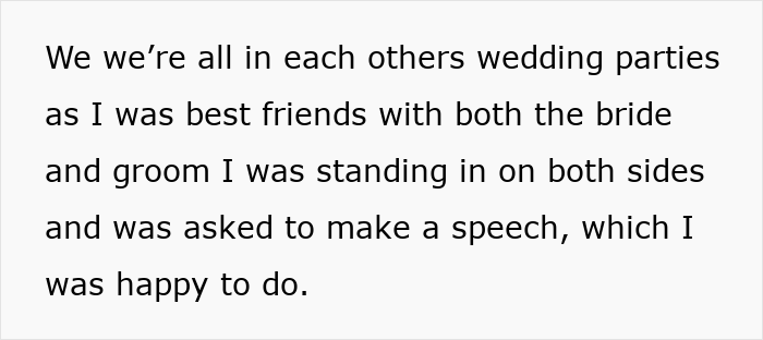 Text excerpt discussing wedding parties and speech plans Text excerpt discussing wedding parties and speech plans