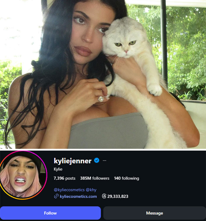 Kylie Jenner holding a cat, with her Instagram profile and 385M followers visible. She is a celebrity impacted by Instagram's bot purge.