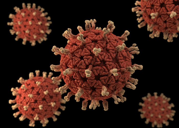 Identity Of &ldquo;Patient Zero&rdquo; Revealed In Fatal Hantavirus Cruise Ship Outbreak