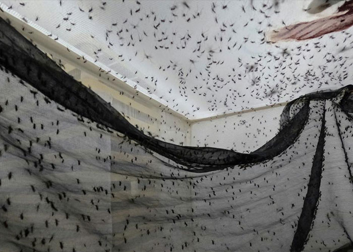 "Villain Origin Story": Bill Gates' 'Mutant' Mosquito Factory Goes Viral After People Learn What It's For