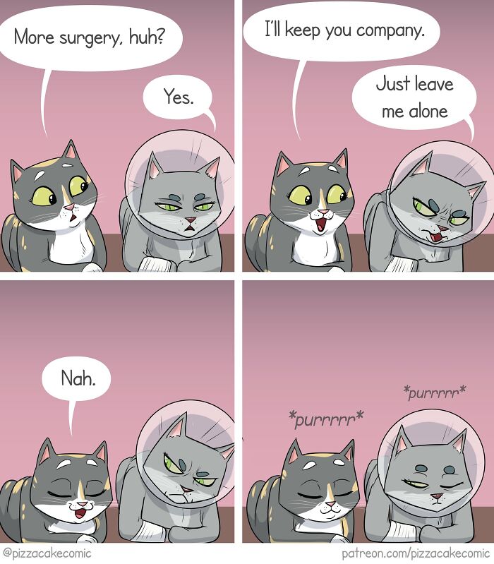 This Artist Turns Family Life, Cats, And Everyday Chaos Into Comics That Feel Way Too Relatable (33 New Pics)