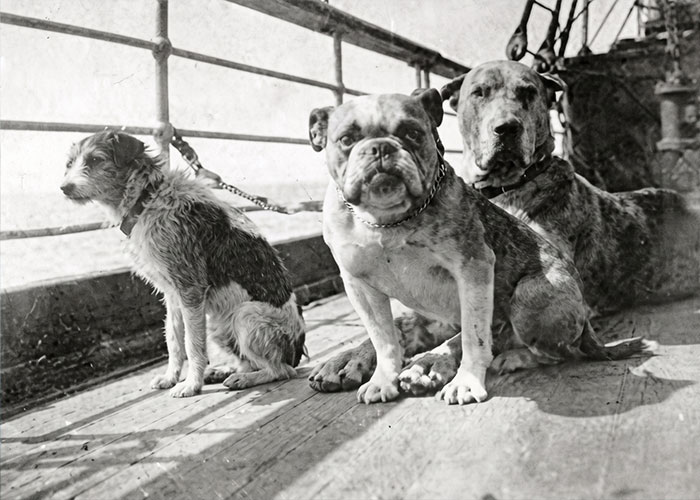 Eerie Titanic Detail Most People Never Knew Is Breaking Hearts All Over Again More Than A Century Later