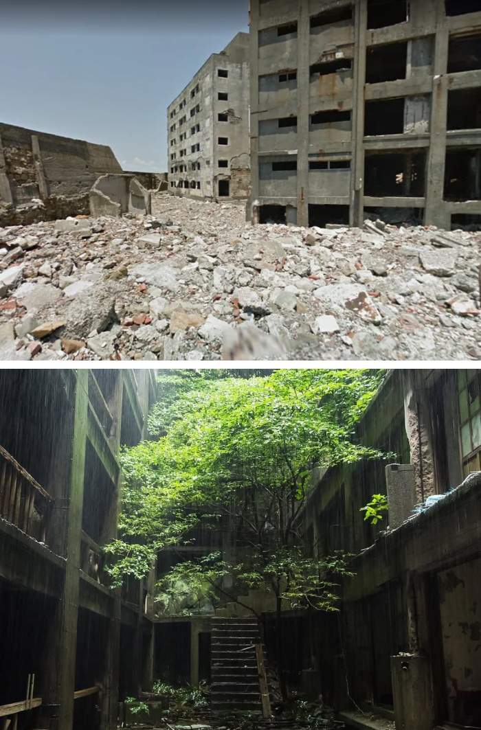 Abandoned amusement park overtaken by vegetation and rust