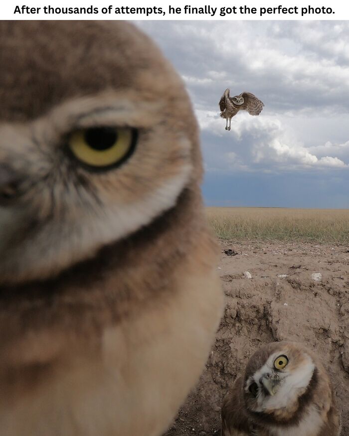 This Instagram Page With Over 700k Followers Shares The Internet’s Most Mind Bending Photos