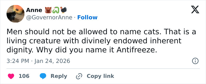 A tweet from Anne @GovernorAnne states Men should not be allowed to name cats. This post highlights the funny, adorable, and weird nature of cats.