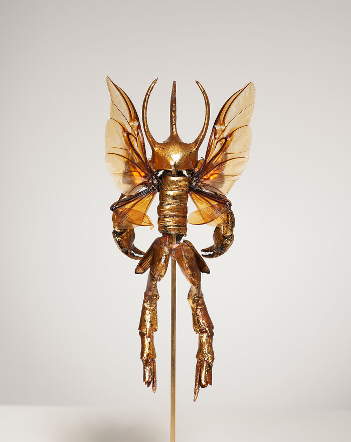 Here Are 18 Surreal Bug Fairies Made From Dead Insects Made By This Amsterdam-Based Artist