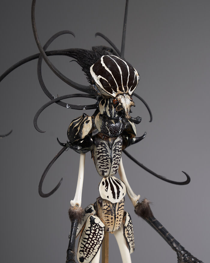 Here Are 18 Surreal Bug Fairies Made From Dead Insects Made By This Amsterdam-Based Artist
