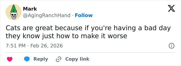 A tweet from @AgingRanchHand about cats being great at making a bad day worse, confirming cats are emotionally manipulative.