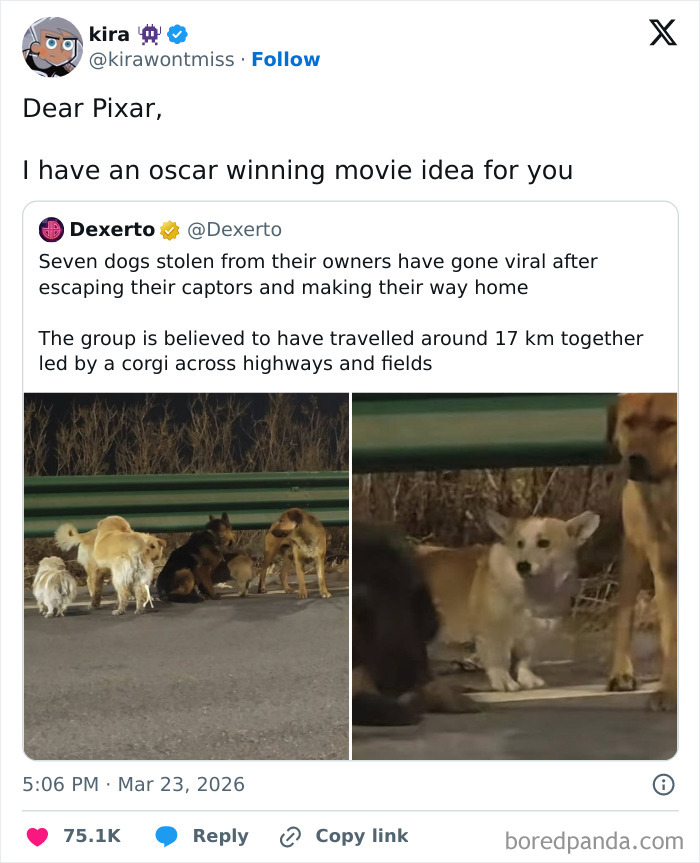 A tweet proposing an Oscar-winning movie idea about dogs, showcasing hilarious cinephile tweets.