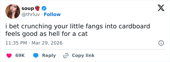 A funny tweet from @thrluv about cats enjoying crunching fangs into cardboard. Relatable for emotionally manipulative cat owners.