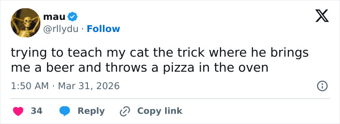A funny tweet from mau about trying to teach a cat to bring beer and throw a pizza, highlighting the adorable and weird nature of cats.