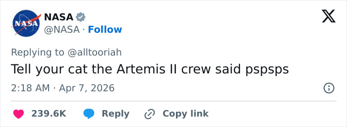 A NASA tweet asking someone to tell their cat that the Artemis II crew said pspsps, showcasing cats as adorable.