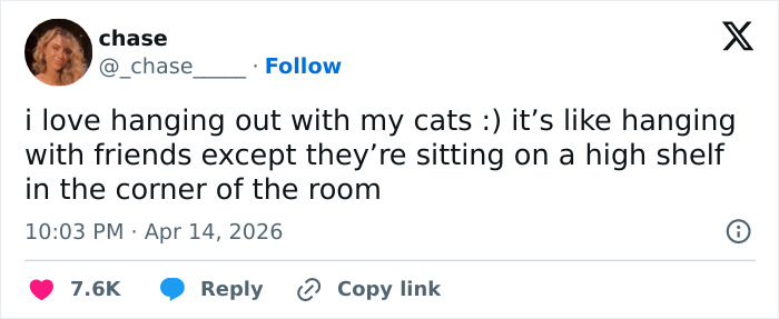 A funny tweet from chase, humorously confirming that cats are emotionally manipulative and weird by sitting on a high shelf.