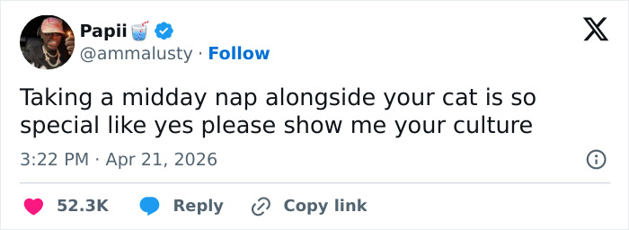 A tweet about taking a midday nap with your cat, highlighting cats as adorable, weird, and emotionally manipulative.