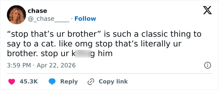 A tweet by user 'chase' saying, "stop that's ur brother" to a cat. Funny tweets about emotionally manipulative cats.