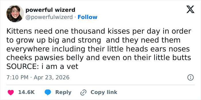 A funny tweet from powerful wizerd about cats needing a thousand kisses daily to grow big and strong, confirming cats are adorable.