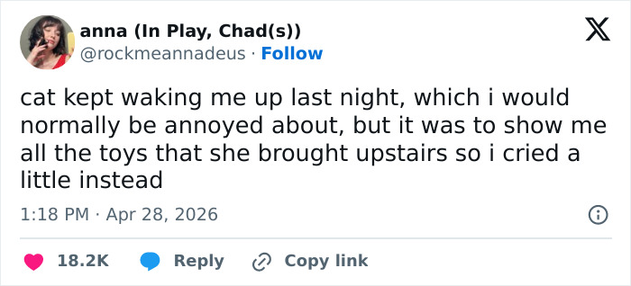 A funny tweet from anna about her cat waking her up to show toys, highlighting adorable and emotionally manipulative cat behavior.