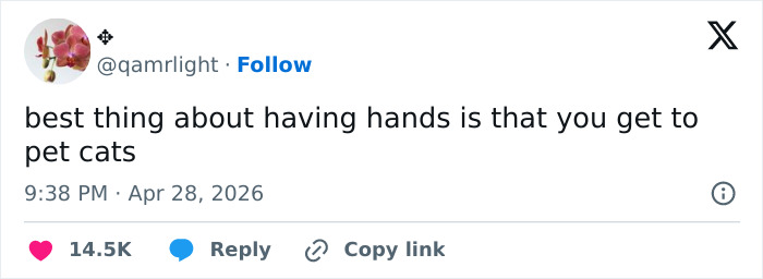 A tweet about petting cats, showing how cats are adorable and emotionally manipulative.
