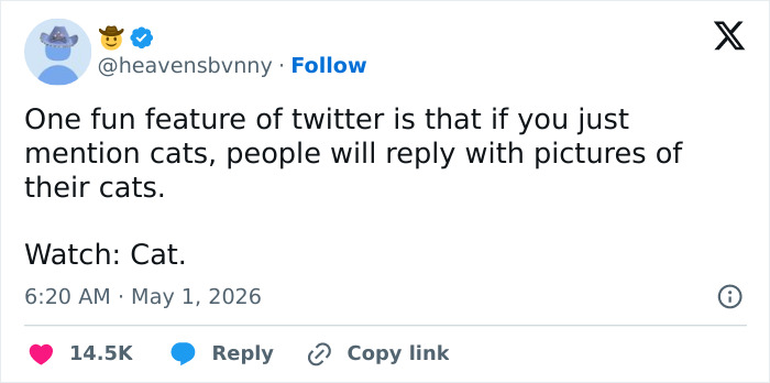 A tweet about cats. The user @heavensbvnny says mentioning cats makes people reply with cat pictures, proving cats are adorable.