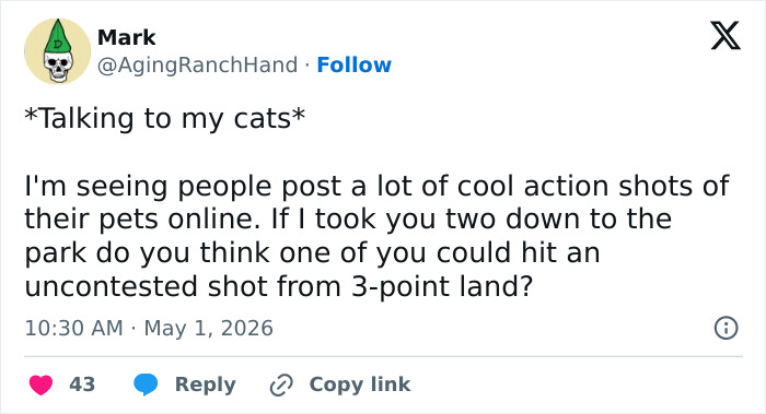 A tweet from @AgingRanchHand asks his cats about shooting hoops at the park, confirming cats are weird and funny.