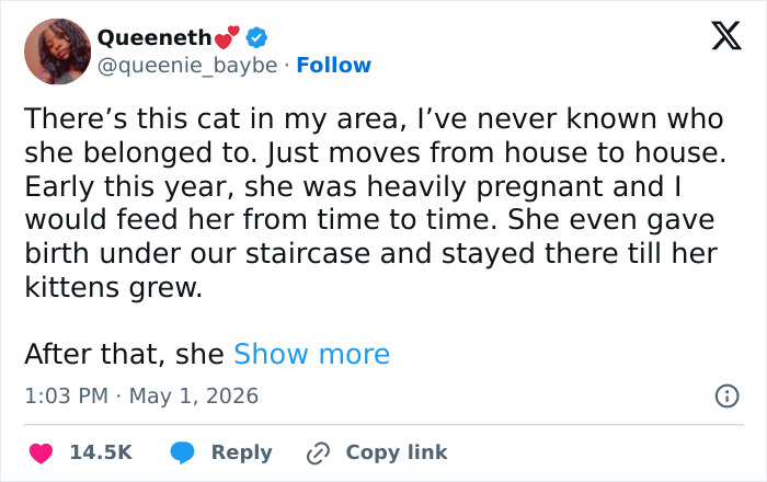 A tweet from Queeneth describing a neighborhood cat that was adorable, weird, and emotionally manipulative, confirming cat behavior.