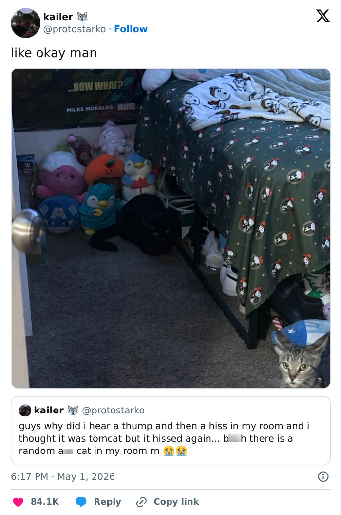 Two cats hiding in a bedroom with stuffed animals under a bed, confirming cats are weird.