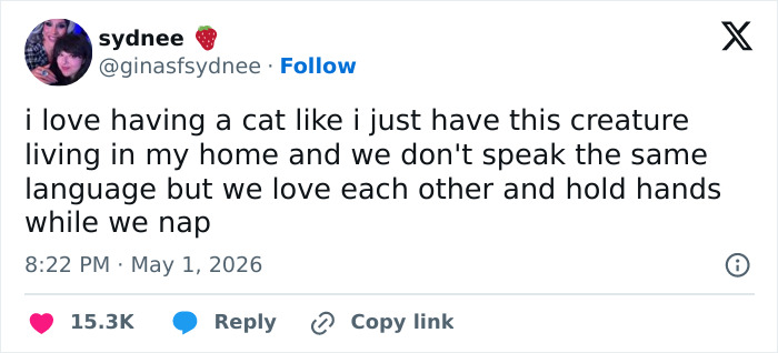 A tweet from Sydnee stating: "i love having a cat like i just have this creature living in my home and we don't speak the same language but we love each other and hold hands while we nap." Funny tweets about emotionally manipulative cats.