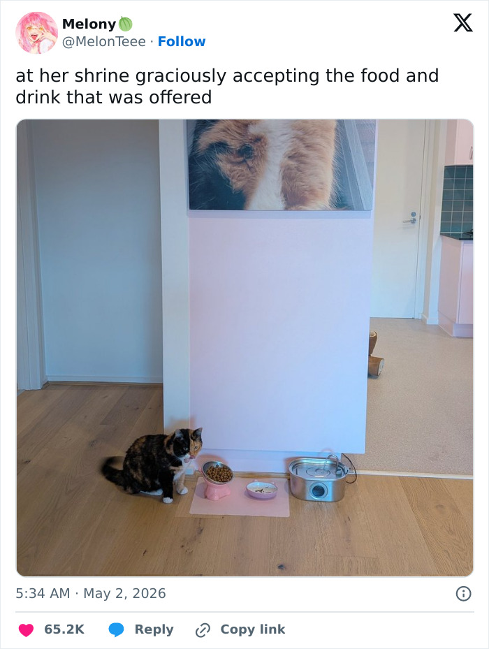 A calico cat next to its food bowls under a large photo of another cat. This cat is adorable and weird.