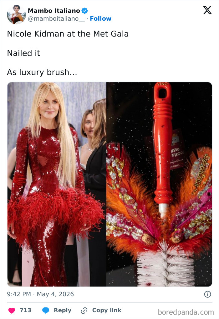 Nicole Kidman in a red feathered dress at the Met Gala, compared to a luxury brush. Funniest reaction to celebrity guests.