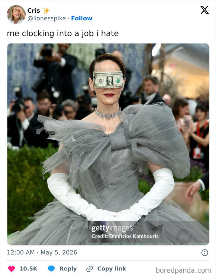 MET Gala 2026 guest in a gray gown with a dollar bill taped over her eyes, evoking funny celebrity reactions.