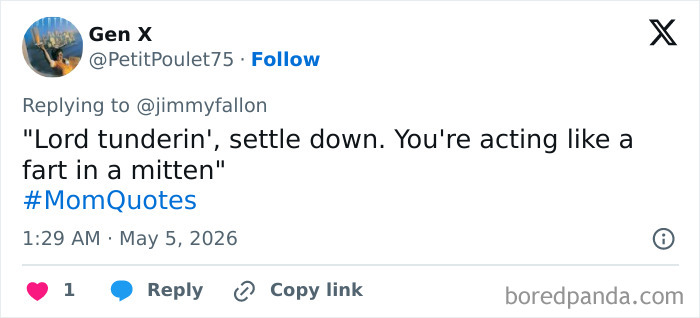 A funny tweet from Gen X, @PetitPoulet75, replying to @jimmyfallon with a MomQuote: "Lord tunderin', settle down. You're acting like a fart in a mitten." Shows the ups and downs of motherhood.