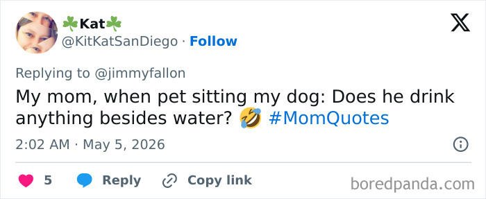 Funniest-Mothers-Day-Tweets