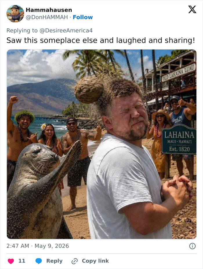 Turista intitulado que jogou uma pedra na amada foca havaiana antes de gritar 'Sou rico' é oficialmente acusado