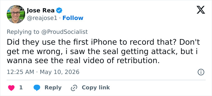 Entitled Tourist Yells "I'm Rich" After Throwing Rock At Beloved Seal, Local Gives Him Instant Karma