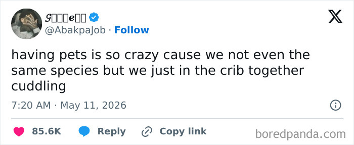 Funny-May-Tweets-2026